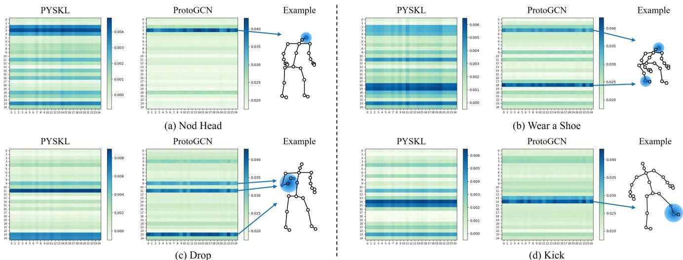 Figure 4. Visualization of the topologies learned by PYSKL and ProtoGCN.