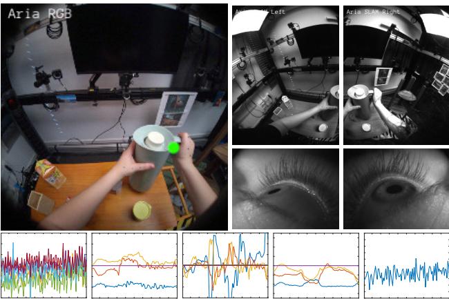 Sensor streams recorded by Project Aria, including RGB, monochrome, and IMU data.
