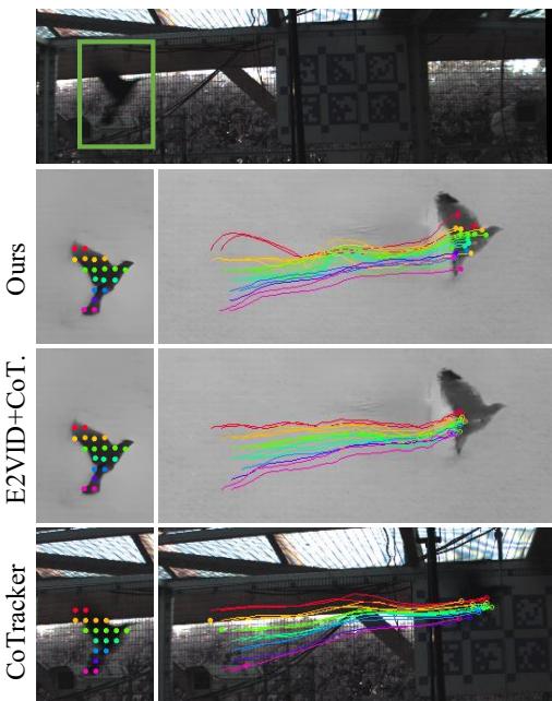 Figure 7: Qualitative results tracking a bird in difficult lighting conditions.