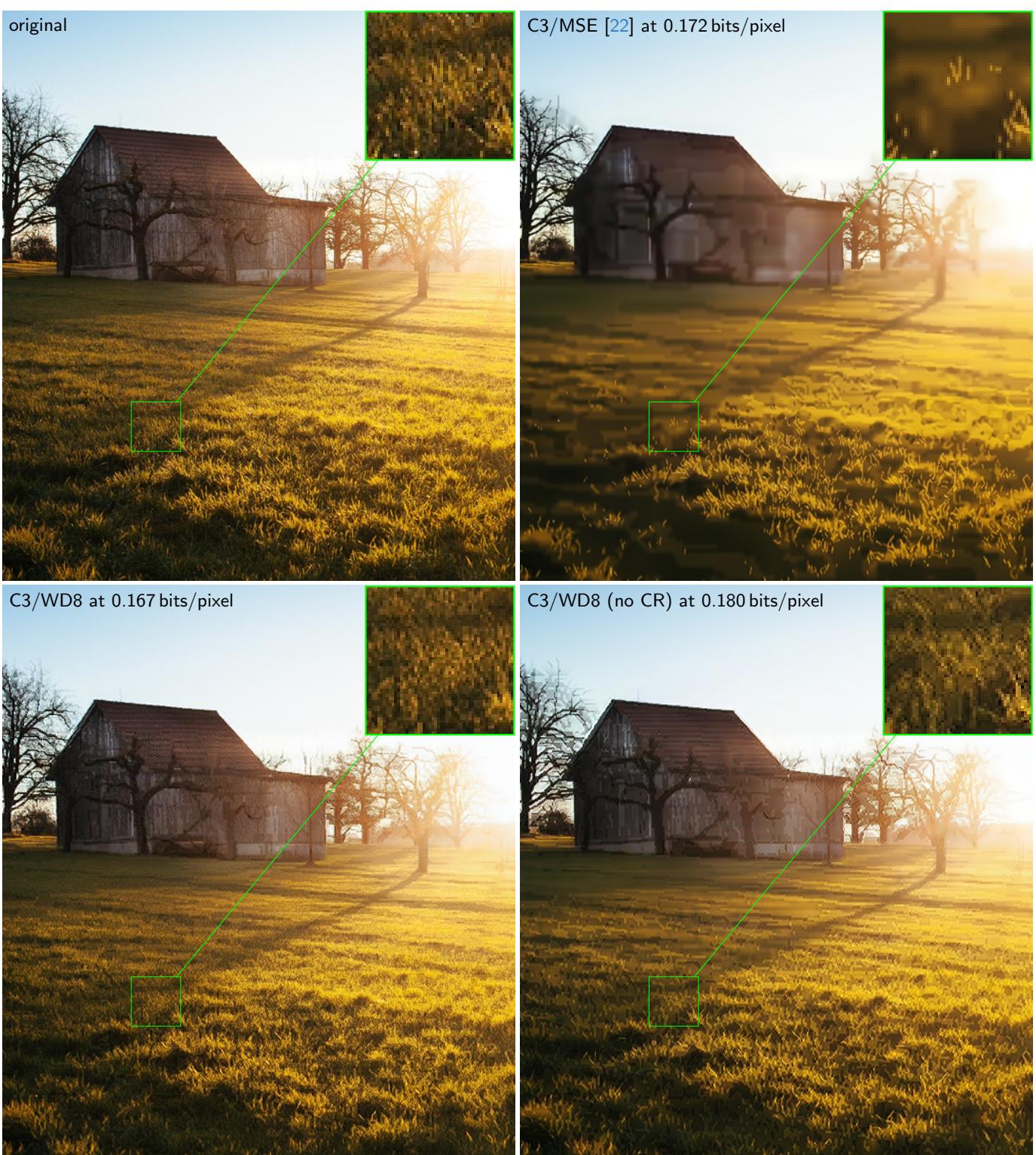 Comparison of C3 variants on a barn image. WD preserves texture in the grass significantly better than MSE.