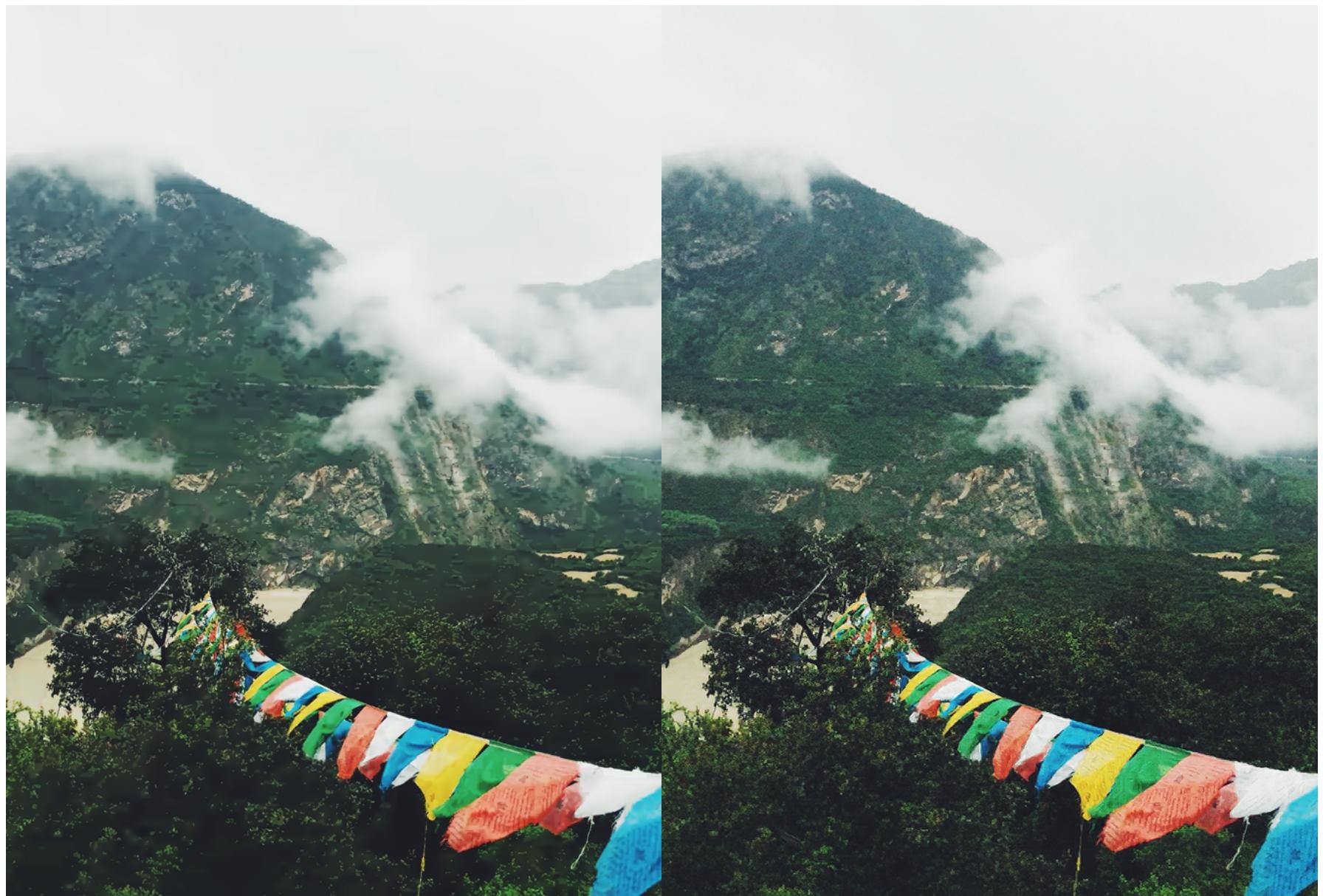 Mountain landscape comparison. WD improves vegetation texture and eliminates staircasing artifacts found in MSE.