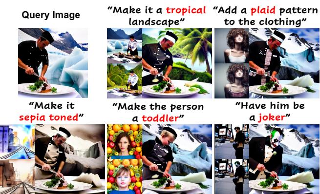 Various manipulations on the same chef image.