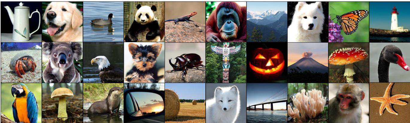 Images generated by TinyDiT-D14.