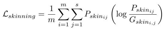 Equation for Skinning Loss
