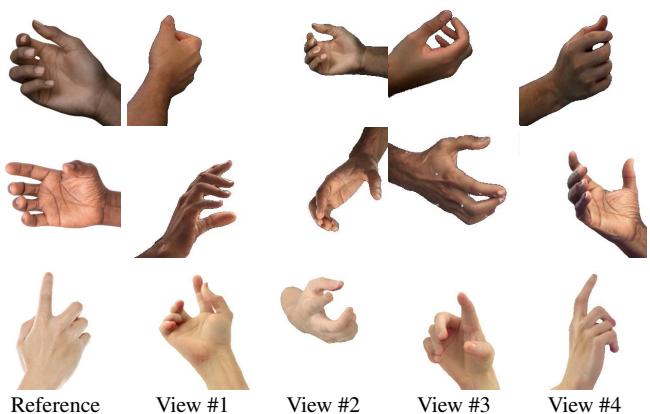 Generating diverse viewpoints from a single input image.