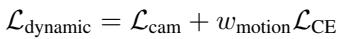 Dynamic training loss equation.