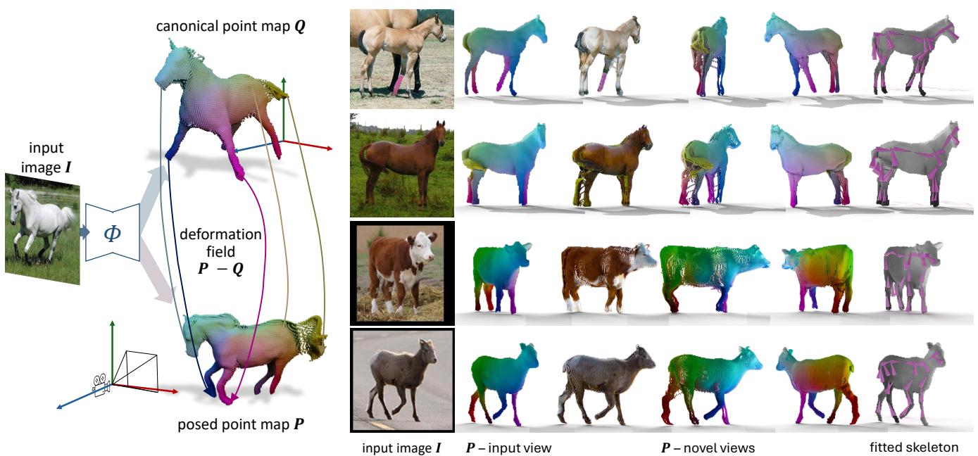 Figure 1. Left: We map an image of an object to its Dual Point Maps (DualPMs), a pair of point maps P, defined in a camera space, and Q, defined in a canonical space. Right: Visualization of results.