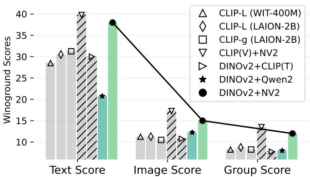 Figure 3. Winoground Results comparing CLIP against DINOv2 paired with various text encoders.