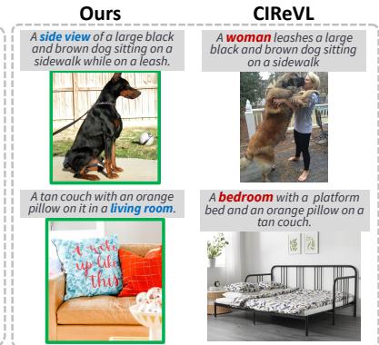 Visualization of Reflective CoT samples.
