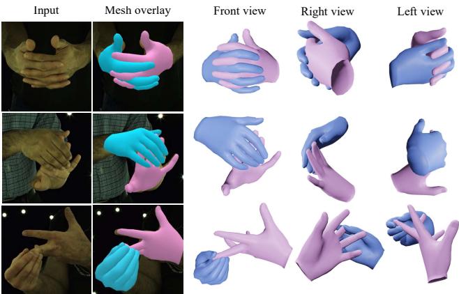 Figure 5. Qualitative evaluation on InterHand2.6M.