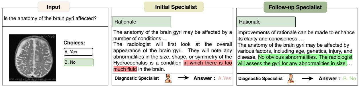 一个定性示例，展示后续专家如何纠正关于脑液的幻觉以达成正确诊断。