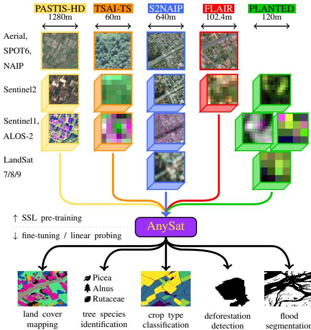 Figure 1. Multi-Dataset Training. For the first time, a single model can be pretrained simultaneously on a collection of Earth Observation datasets with heterogeneous resolutions, scales, and modalities.