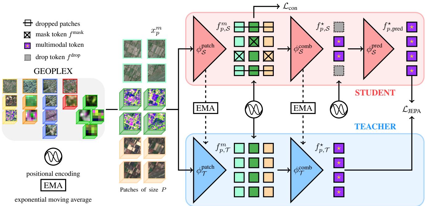 Figure 3. Architecture of AnySat. This shows the flow of data through Student and Teacher networks, including masking and dropping strategies.