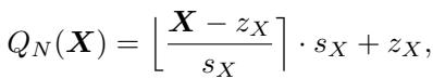 Equation for quantization showing the rounding and scaling process.