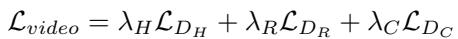 Equation 4: The combined loss function for video pre-training.