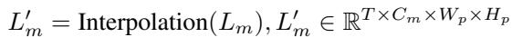 Equation 8: Interpolation of feature maps.