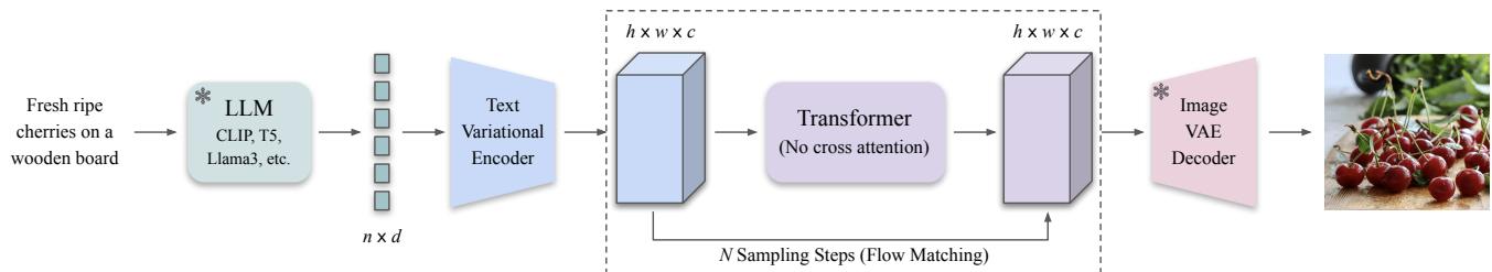Figure 2. The CrossFlow Architecture. Text is encoded into a latent distribution, then evolved directly into image latents using a transformer without cross-attention.