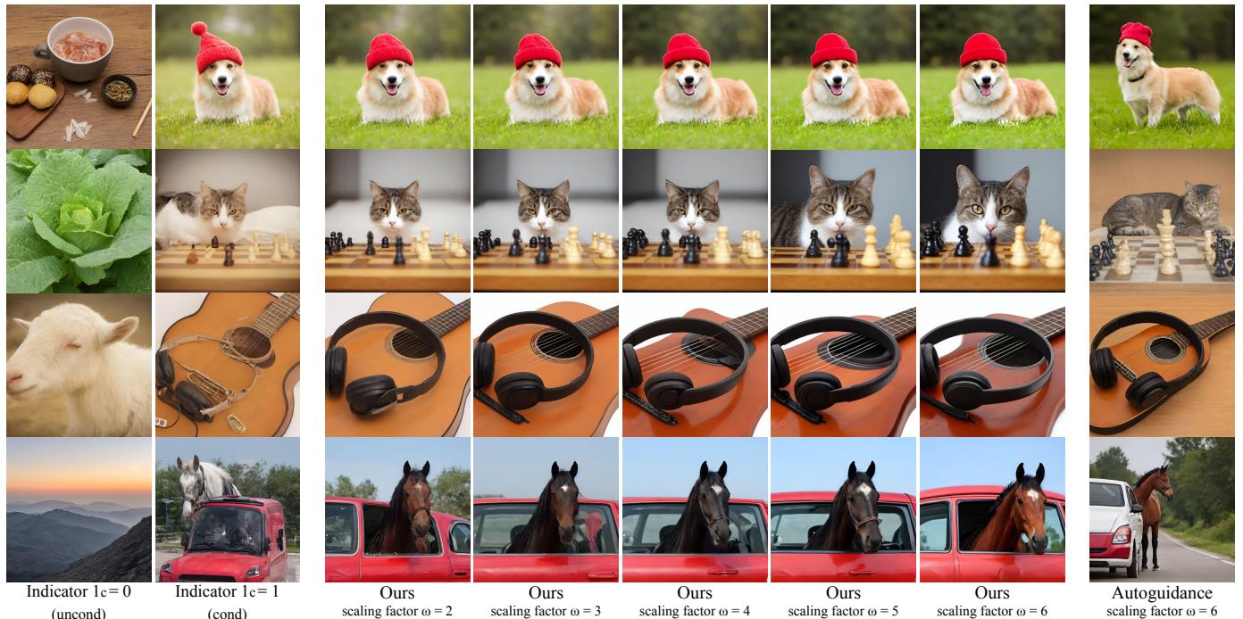 Figure 9. Ablation on CFG with indicator. The visual comparison shows how the indicator enables unconditional generation and improves quality when scaling is applied.