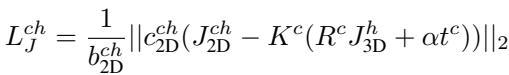 Equation 8: The detailed reprojection error equation calculating the distance between detected 2D joints and projected 3D joints.