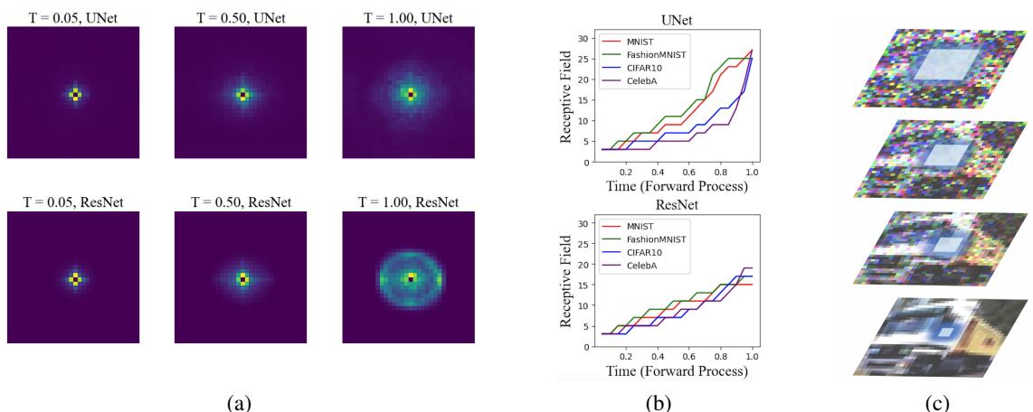 Receptive field shrinks over time.