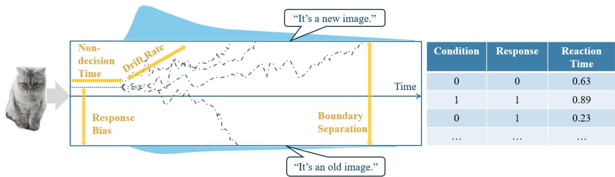 A graphical illustration of the Drift Diffusion Model (DDM)