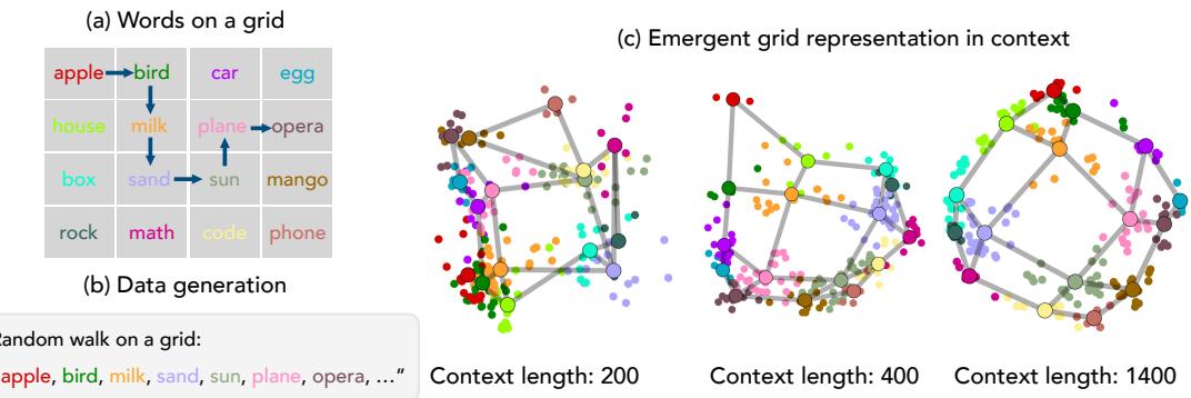 In-context graph tracing task setup: (a) Familiar words randomly placed on a 4×4 grid. (b) The model reads sequences generated by random walks on the grid. (c) The question: Will its internal representations reorganize to reflect the grid’s structure?