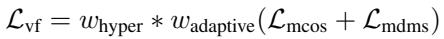 Equation 5: Total VF Loss