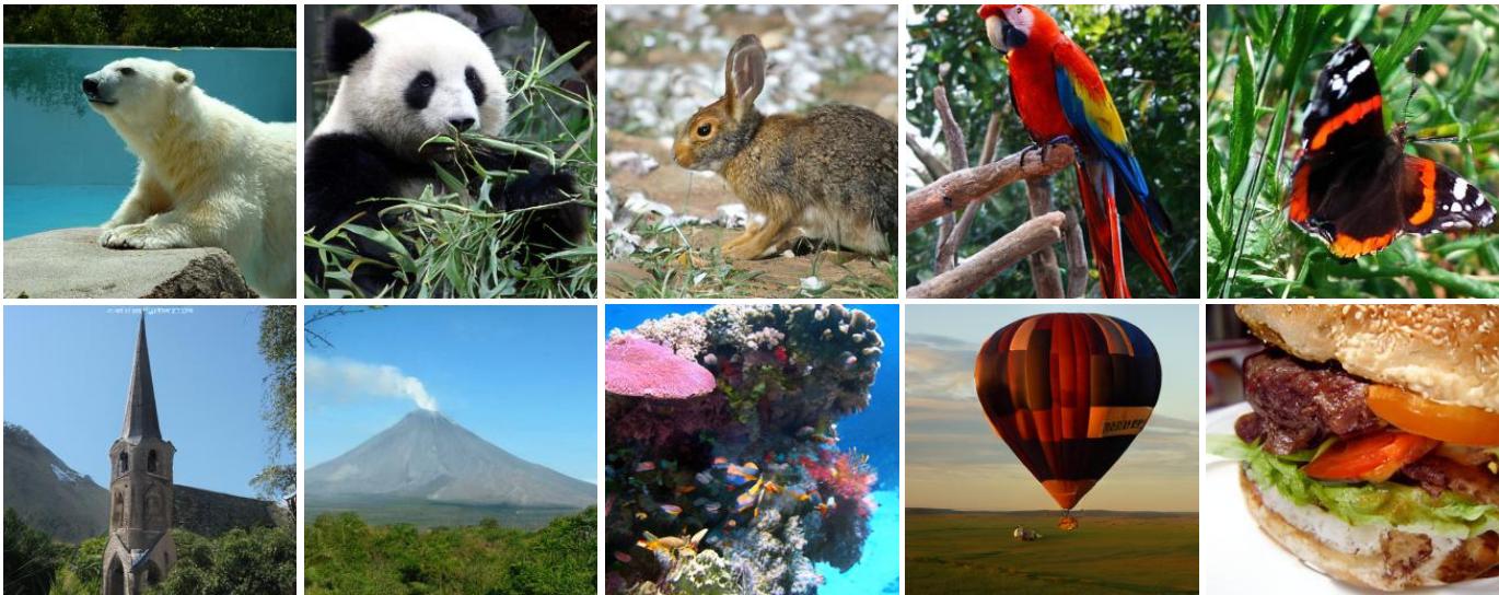 Figure 5. Visualization Results.