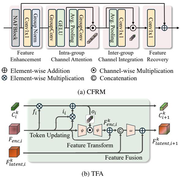 Schematic diagrams of the CFRM and TFA modules.
