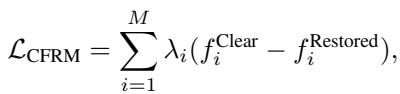 Equation for CFRM loss function.