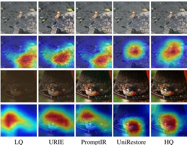 Table comparing image classification accuracy.