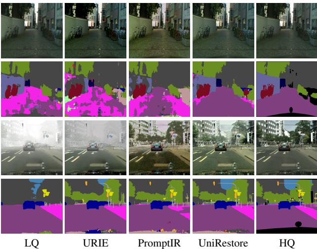 Qualitative analysis of classification and segmentation results.