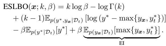 The full VES-Gamma acquisition function equation.