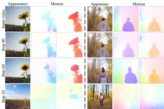 Comparison of video frames at different denoising steps showing appearance and motion flow.
