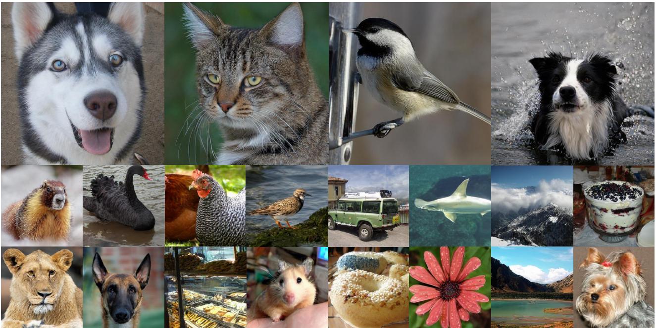 Figure 1. MAETok generation samples.