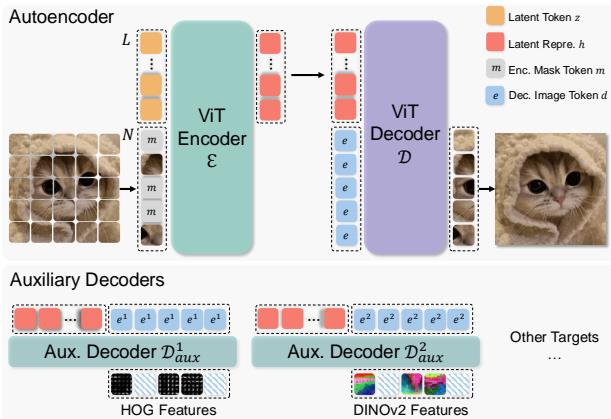 Figure 3. Model architecture of MAETok.