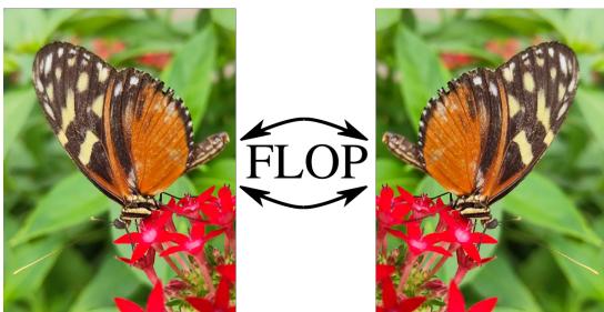 Figure 1: Common image classification tasks are invariant to flopping (horizontal mirroring). In our implementation, this invariance is enforced through equivariant network layers, halving the required floating-point operations (FLOPs).