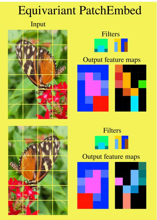Figure 2: Patch embedding layer illustration showing symmetric and antisymmetric filters.
