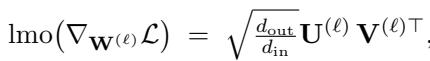 The LMO for the spectral norm using SVD.