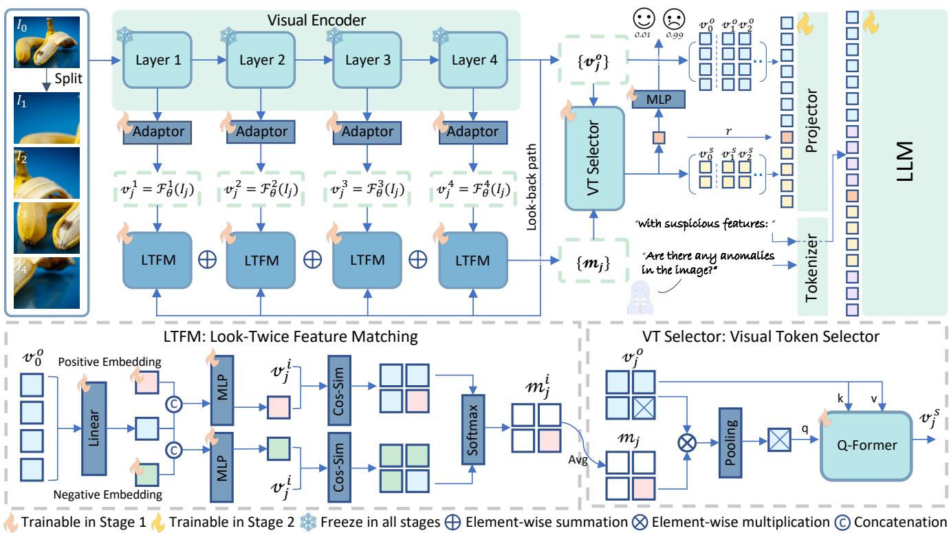Figure 3. Overview of the Anomaly-OV architecture.
