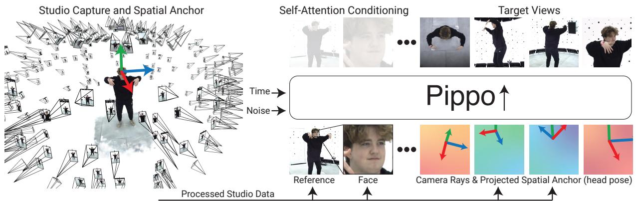 Pipeline overview showing the transition from Studio Capture data to the Multi-view diffusion model.