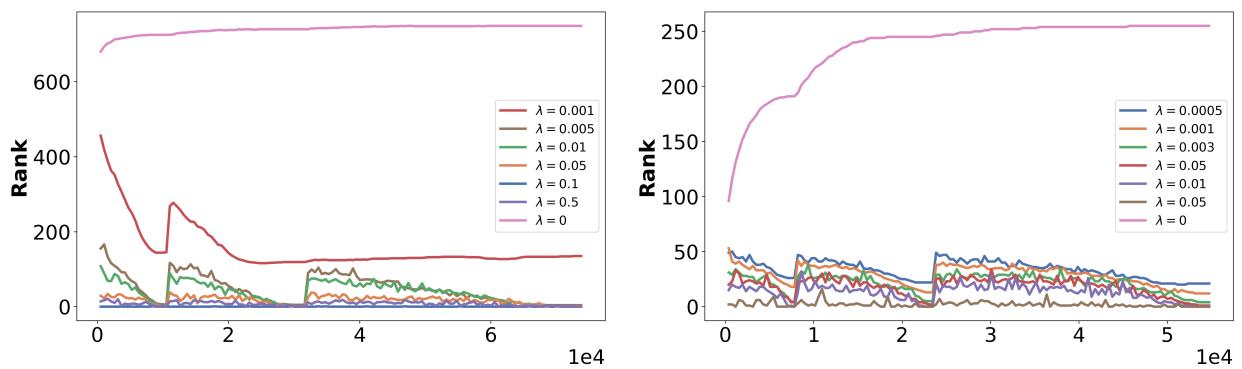 Plots showing the rank of the weight matrix dropping as lambda increases.