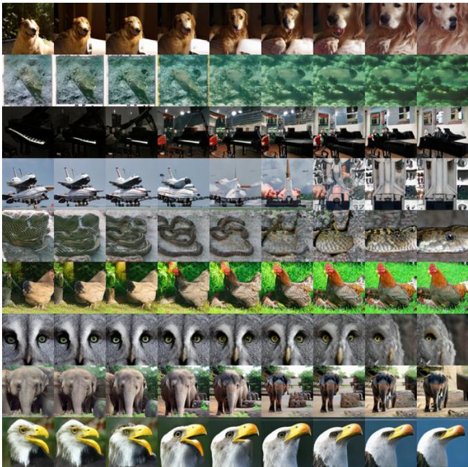 Figure 6. Visualizing the latent space of the one-step generator on ImageNet.