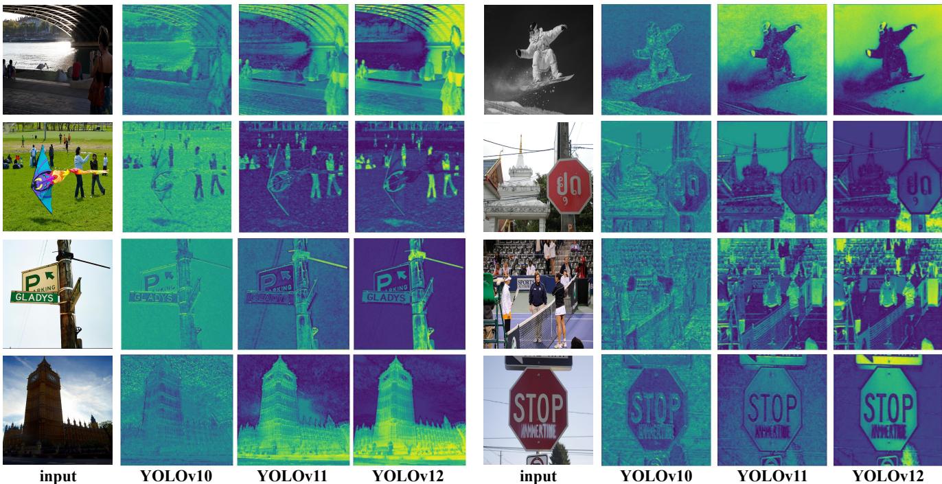 Heatmap comparison: YOLOv12 produces sharper object contours and more precise focus than YOLOv10/YOLOv11.