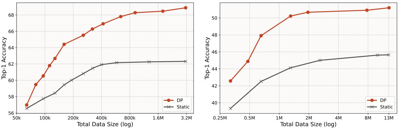 Validation accuracy vs. Dataset Size. DP (Blue Circles) vs Static (Pink Crosses).