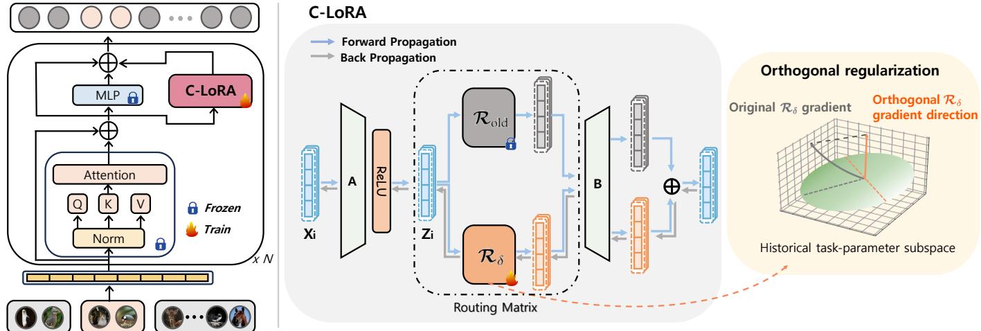 说明 C-LoRA 集成于 ViT 及正交正则化的图示。