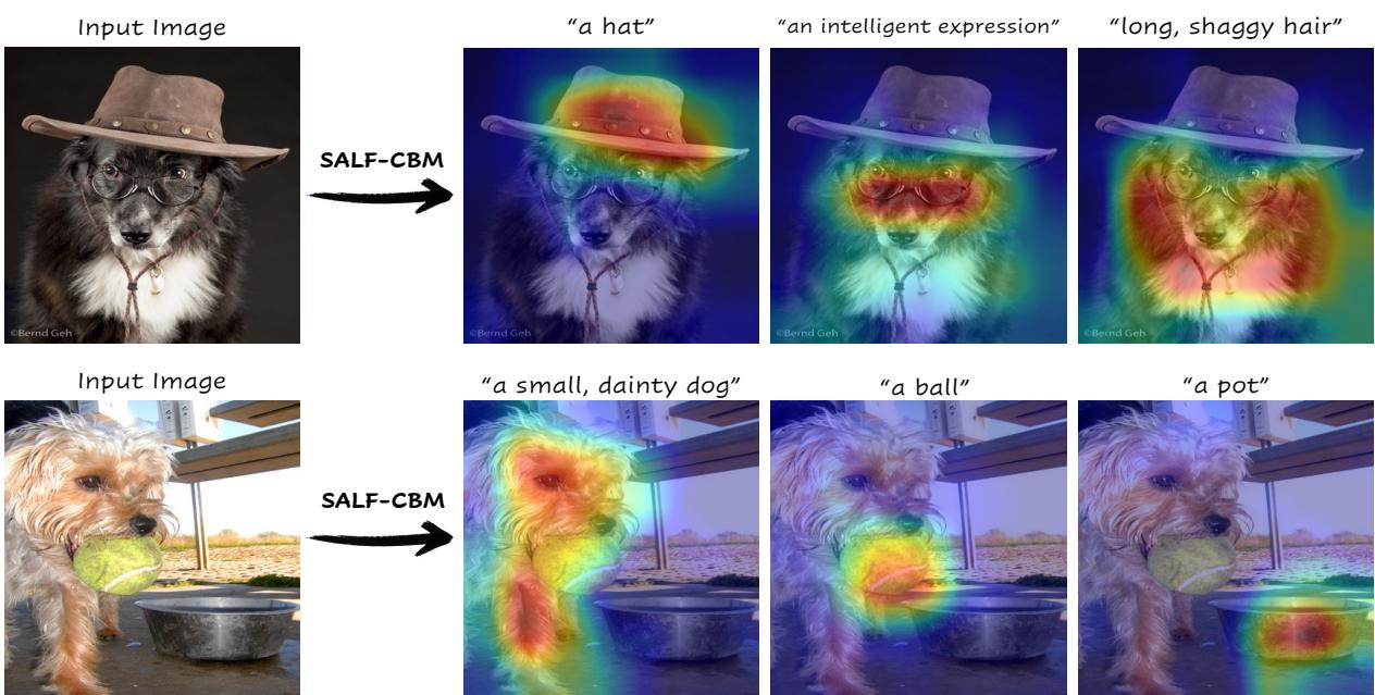 Concept maps generated by SALF-CBM. The image shows a dog with glasses/hat and a dog with a ball. Heatmaps highlight specific concepts like &lsquo;a hat&rsquo;, &lsquo;an intelligent expression&rsquo;, &lsquo;a ball&rsquo;, and &lsquo;a pot&rsquo;.
