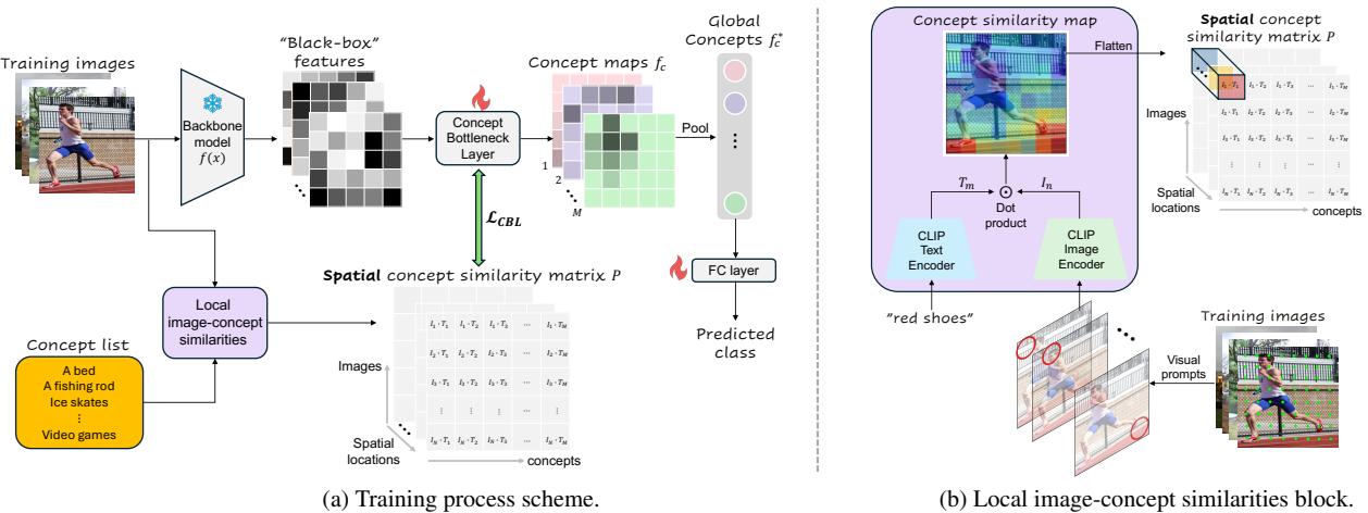 SALF-CBM training architecture. Part A shows the flow from Backbone to Concept Bottleneck Layer to Classification. Part B shows the Local image-concept similarities using visual prompting with red circles.