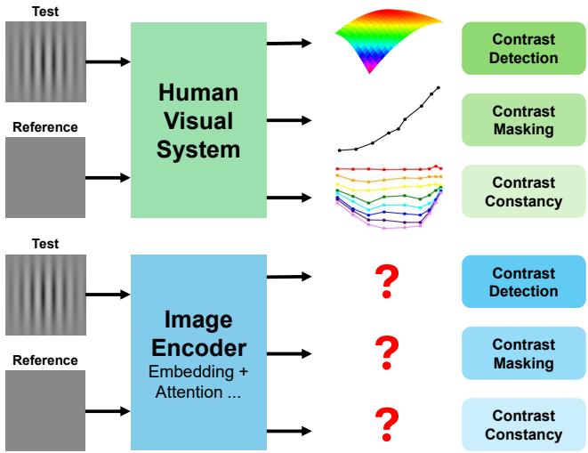 Comparison of HVS and Image Encoder testing protocols.
