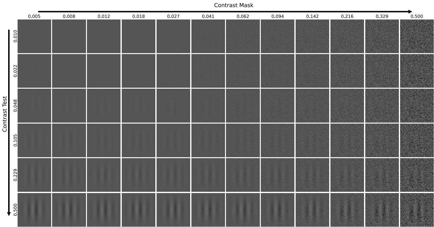 Images from Phase-Incoherent Masking experiment.